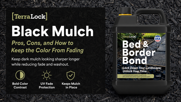 Black Mulch: Pros, Cons, and How to Keep the Color From Fading