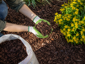 Pine Bark Mulch: Benefits, Problems, and How to Stop It Washing Away