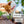 TerraLock Bed and Border Bond is non-toxic and safe for pets.