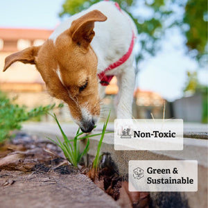 TerraLock Bed and Border Bond is non-toxic and safe for pets.